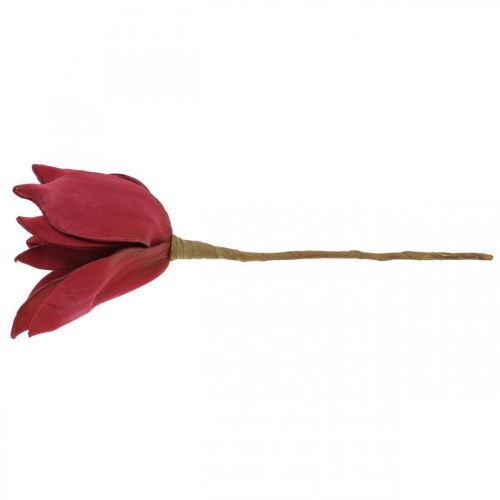 Floristik24 Magnolia Artificial Roja Flor Artificial Espuma Decoración Floral Ø10cm 6ud