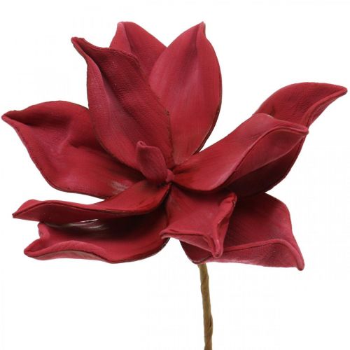 Floristik24 Magnolia Artificial Roja Flor Artificial Espuma Decoración Floral Ø10cm 6ud