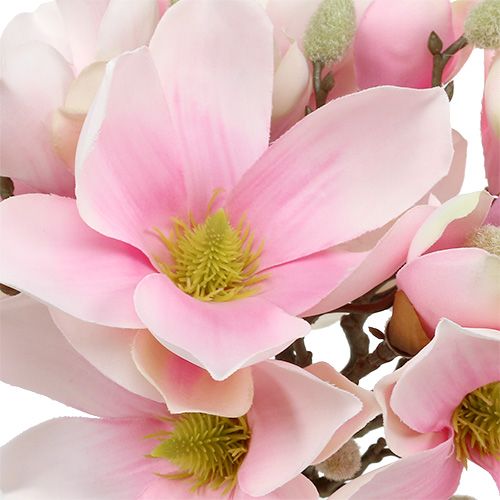 Floristik24 Ramo de magnolia rosa 40cm 5pcs