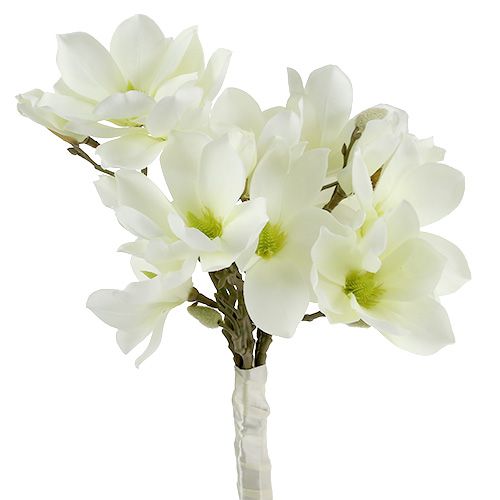 Floristik24 Ramo de magnolia blanco 40cm 5uds