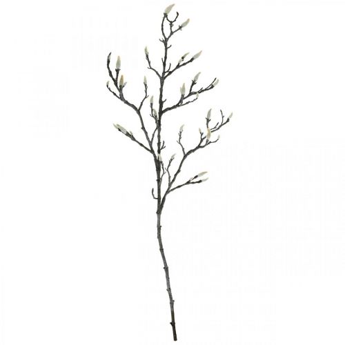 Floristik24 Spring Magnolia Branch Bud Rama artificial Marrón Blanco L100cm