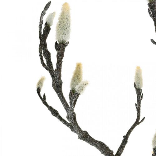 Floristik24 Spring Magnolia Branch Bud Rama artificial Marrón Blanco L100cm