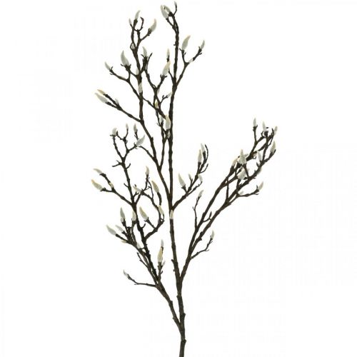 Artículo Rama de magnolia artificial Rama decorativa de primavera con capullos Marrón Blanco L135cm