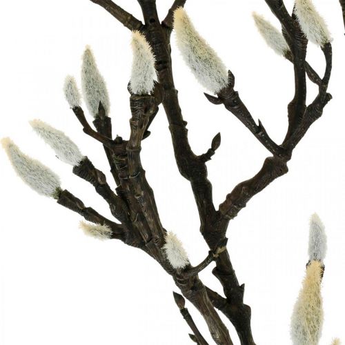 Artículo Rama de magnolia artificial Rama decorativa de primavera con capullos Marrón Blanco L135cm