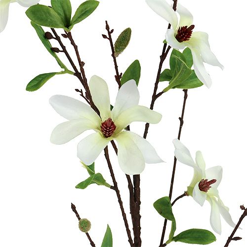Artículo Rama de magnolia blanco-verde 94cm