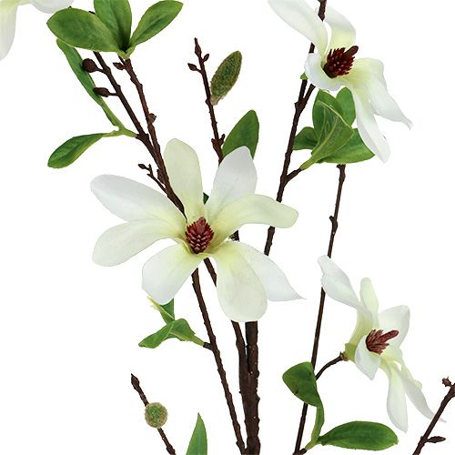 Magnolia rama blanco-verde 94cm
