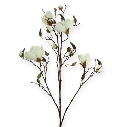 Floristik24 Rama de magnolia blanca 110cm