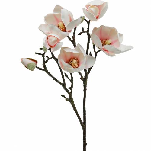 Floristik24 Rama de magnolia Flores de seda de magnolia artificial rosa