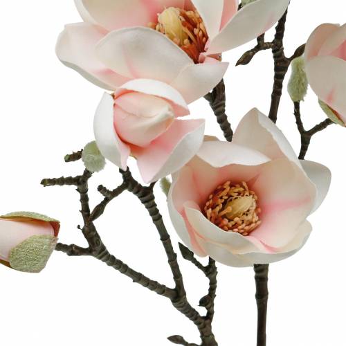 Floristik24 Rama de magnolia Flores de seda de magnolia artificial rosa