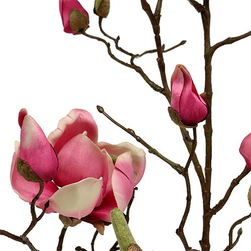 Floristik24 Rama de magnolia violeta 110cm 1p