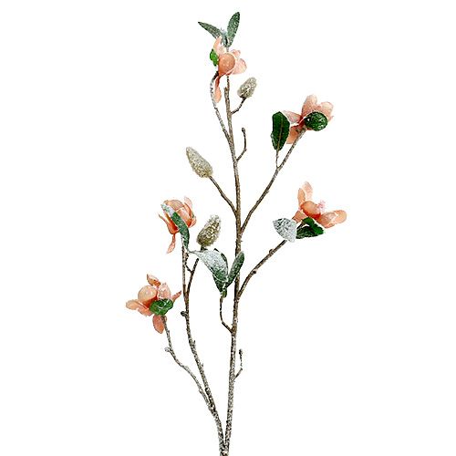 Floristik24 Rama de magnolia rosa claro L 82cm