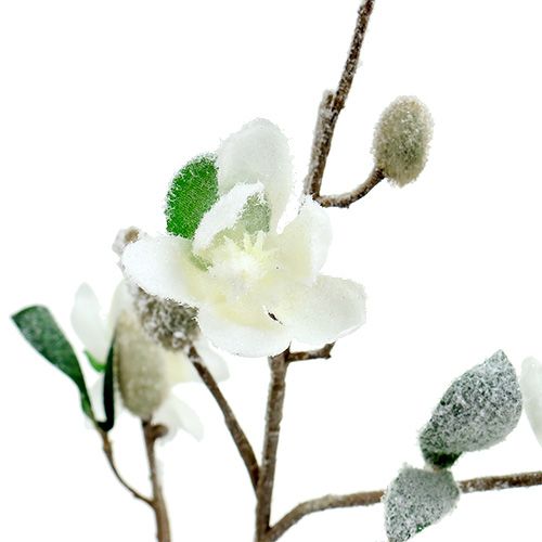 Artículo Rama de magnolia blanca L 82cm con nieve