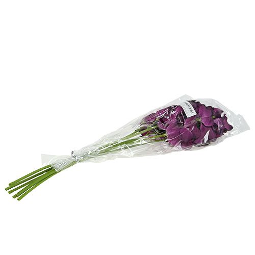 Artículo Mokara orquídea violeta 50cm artificial 6pcs