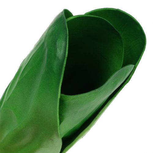 Floristik24 Acelga vegetal decorativa 25,5cm