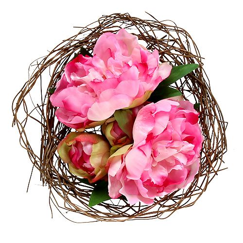 Floristik24 Trébol de vid Ø20cm naturaleza 8pcs