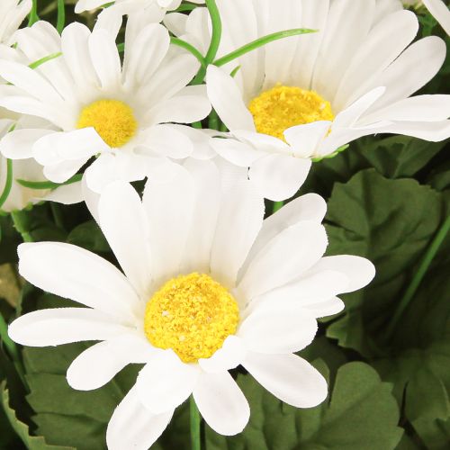 Artículo Ramo de margaritas blanco 45cm