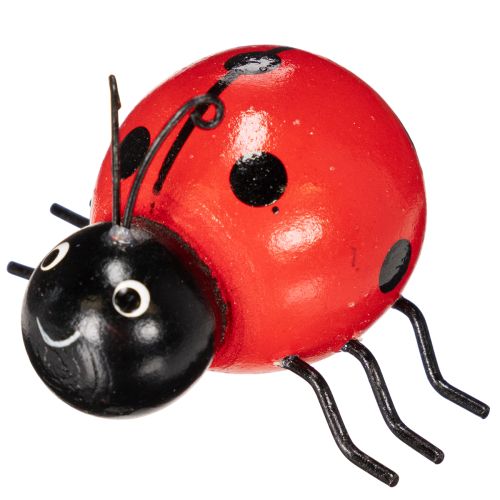 Artículo Mariquitas de madera/bichos de la suerte como lindas decoraciones para el hogar, 5 cm, 6 piezas