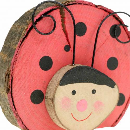 Floristik24 Mariquita madera roja Ø7cm 6pcs