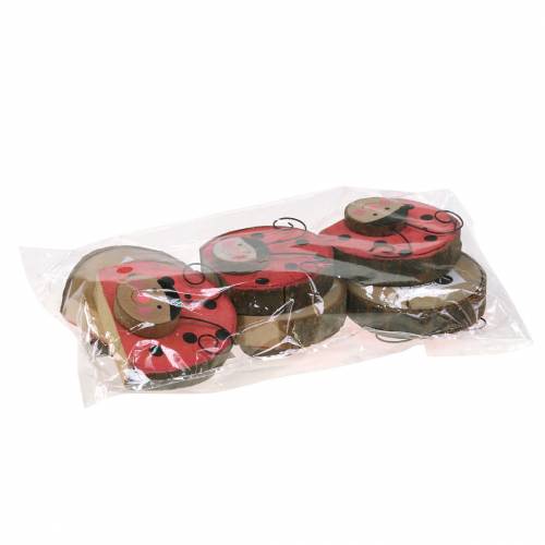 Floristik24 Mariquita madera roja Ø7cm 6pcs