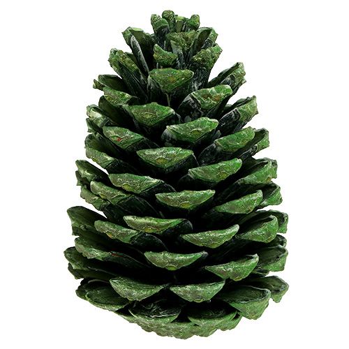 Artículo Conos Maritima 10cm - 16cm verde esmerilado 12 piezas