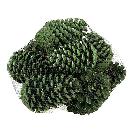 Artículo Conos Maritima 10cm - 16cm verde esmerilado 12 piezas