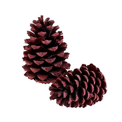 Artículo Conos Maritima 10-15cm rojo esmerilado 12uds