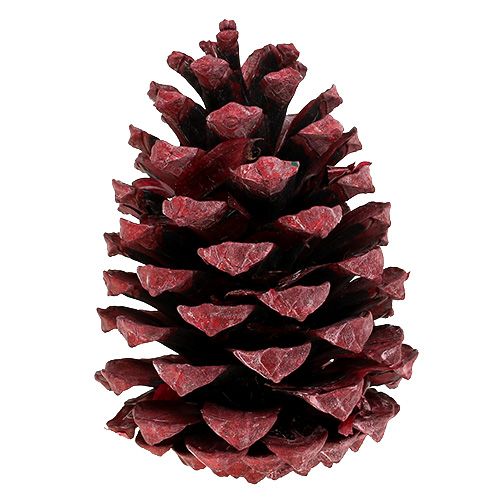Artículo Conos Maritima 10-15cm rojo esmerilado 12uds