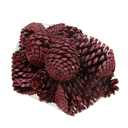Artículo Conos Maritima 10-15cm rojo esmerilado 12uds
