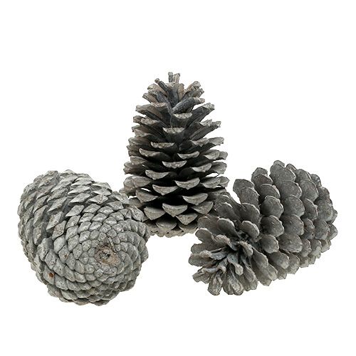 Artículo Conos Maritima 10cm - 14cm encalados 25uds
