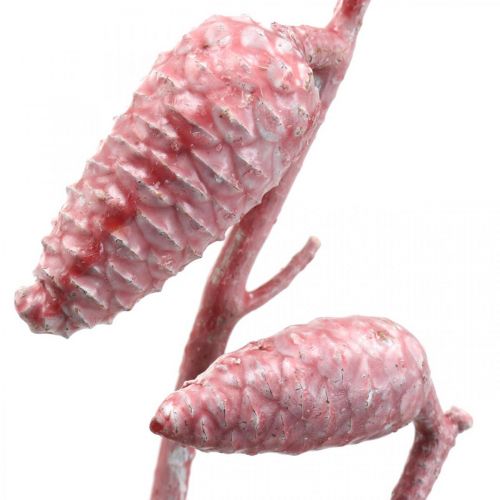 Floristik24 Cono marinero en rama rosa/blanco encerado 400g