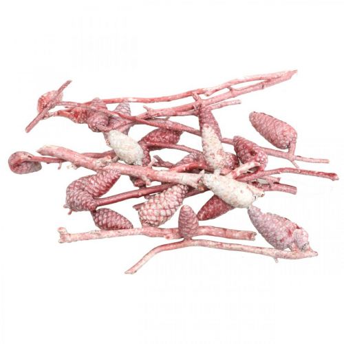 Floristik24 Cono marinero en rama rosa/blanco encerado 400g