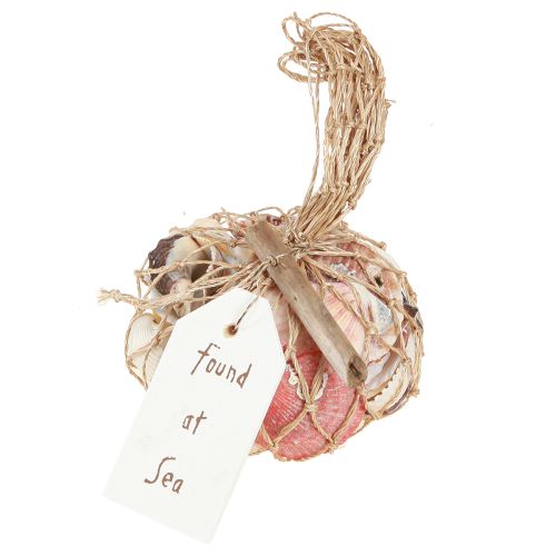 Artículo Conchas decorativas marítimas mezcladas en la red coloridas 3,5-6 cm 300 g × 3 piezas