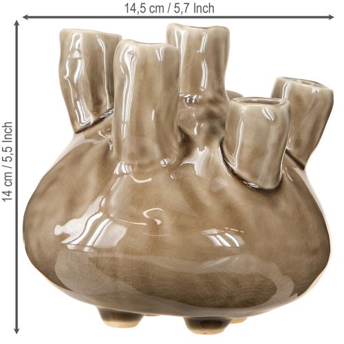 Artículo Jarrón Decoración Marítima Diseño Coral Marrón Ø14,5cm H14cm