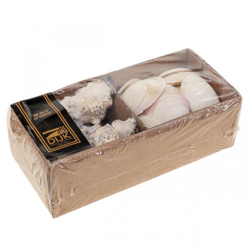 Floristik24 Conchas Decoración Marítima Caracoles Streudeko 600g