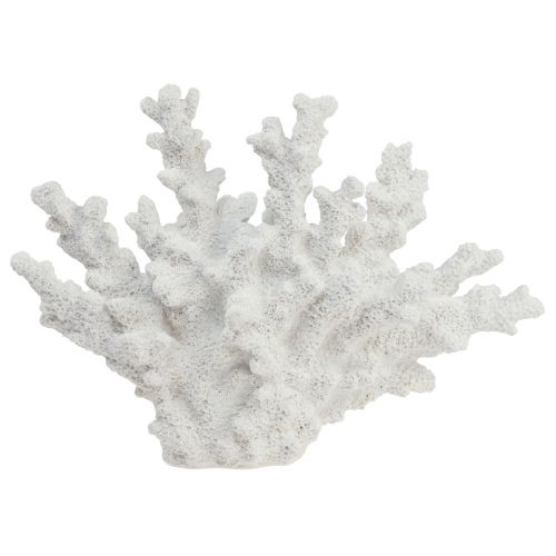 Floristik24 Decoración marítima coral poliresina blanco 18,5×26cm