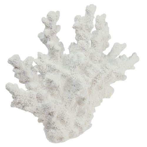 Floristik24 Decoración marítima coral poliresina blanco 18,5×26cm