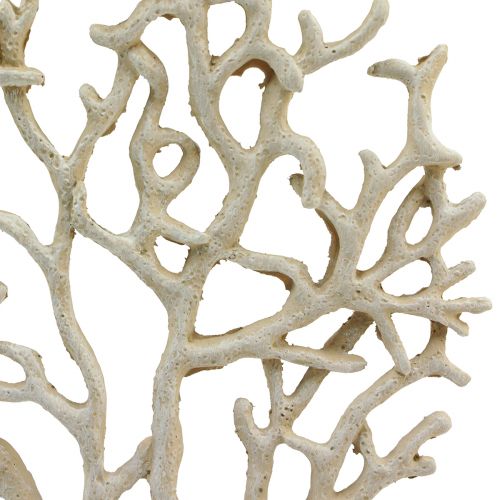 Floristik24 Decoración de mesa marítima coral beige decorativo coral poliresina Al. 20 cm