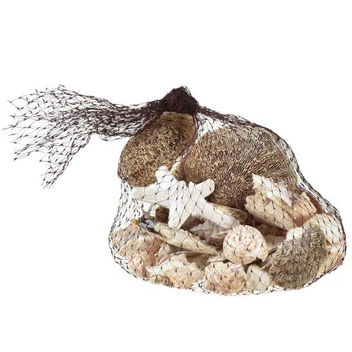 Artículo Decoración de mesa marítima decoración dispersa decoración natural blanco natural 400g