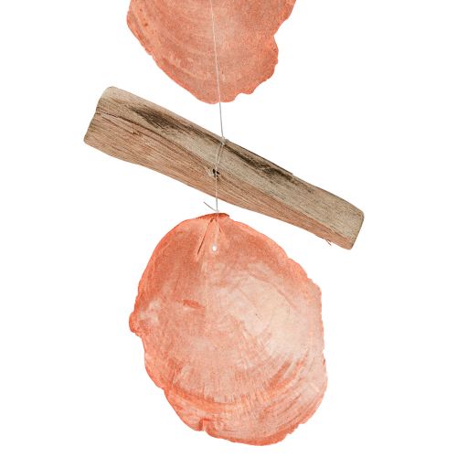 Artículo Percha decoración marítima Conchas de capiz madera flotante naranja natural 35cm