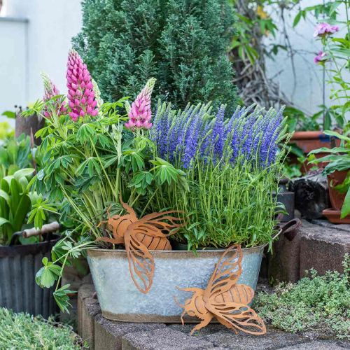 Floristik24 Recipiente de metal para plantar, macetero con asas, florero plateado, pátina L45cm H17.5cm