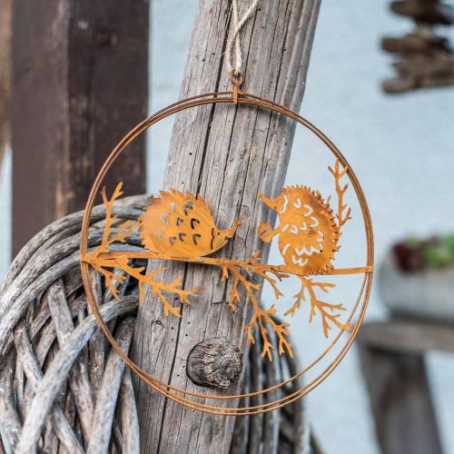 Artículo Colgante de metal, erizo en rama, decoración otoñal, anillo decorativo pátina Ø15,5cm 3 piezas