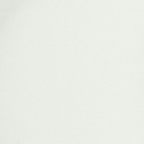 Artículo Bandeja con asas prácticas para uso versátil en el hogar y la restauración, 22 cm