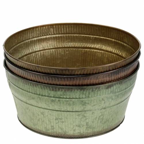 Floristik24 Plato de siembra naranja / marrón / verde zinc Ø27cm H12cm juego de 3