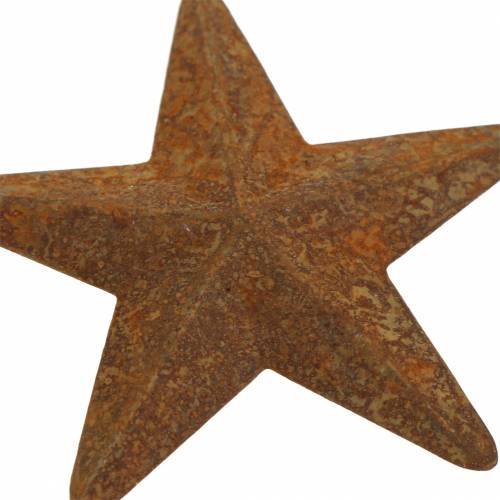 Floristik24 Estrella pátina metal 5cm 24 piezas