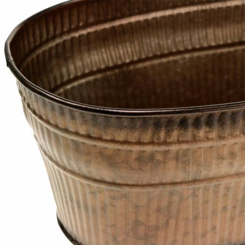 Floristik24 Cuenco para plantas ovalado naranja, marrón, verde 26×13,5 cm Al. 11 cm juego de 3