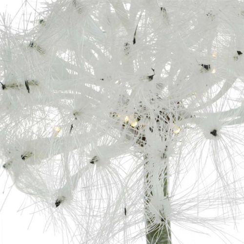 Floristik24 Diente de león LED para iluminación de flores artificiales blancas a batería Al. 50 cm