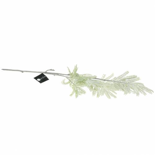 Artículo Rama decorativa mimosa verde efecto escarcha 63cm