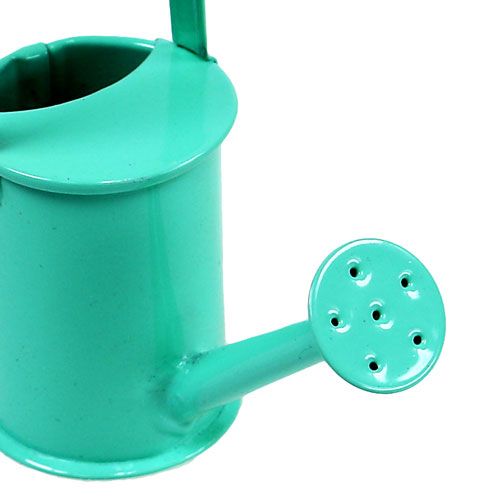 Floristik24 Mini regaderas tipo pastel. Ø4cm 12pcs