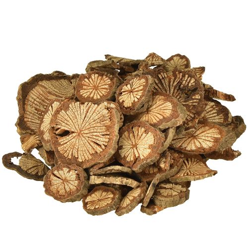 Mini discos de madera para decoración de nuez de betel con veta 1-4,5cm 300g