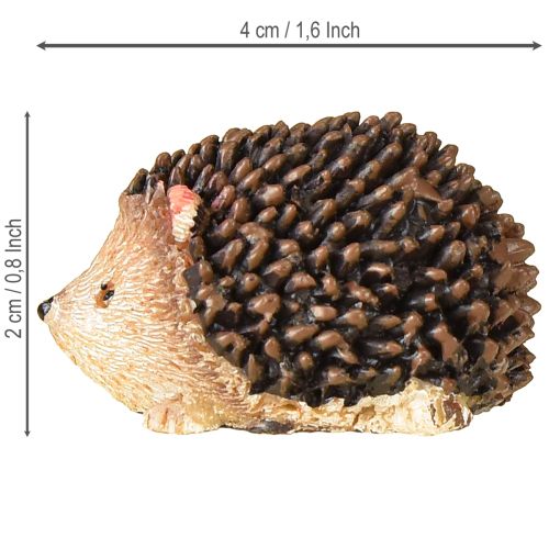 Floristik24 Mini figuras decorativas de erizo otoño pintadas a mano 4×2,5×2cm 6 piezas